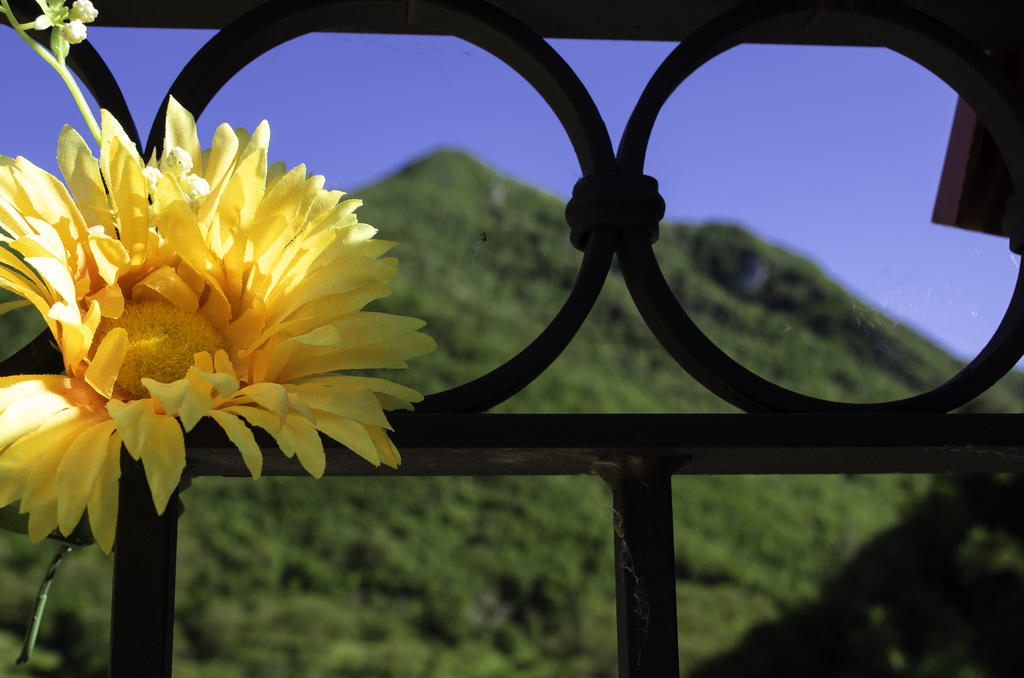 Agriturismo Pompagnano ภายนอก รูปภาพ